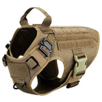 Brown harness