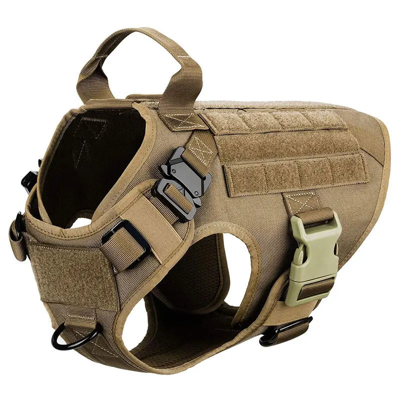 Dog wearing tactical harness and leash during outdoor activity, showing practicality and comfort
