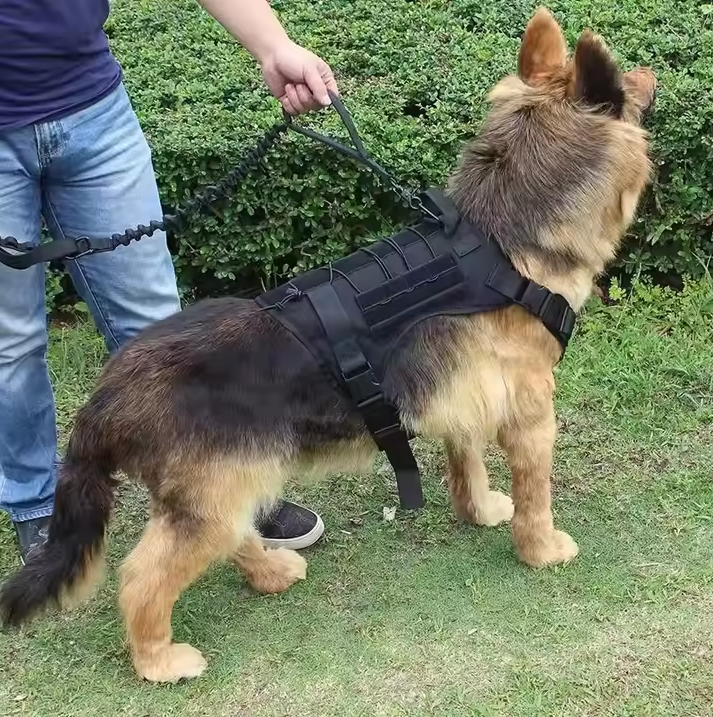 Tactical dog harness with side pockets and a leash, perfect for K9 training and outdoor adventures.