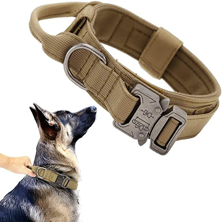 Dog wearing an adjustable tactical military dog collar and matching heavy-duty nylon leash set.