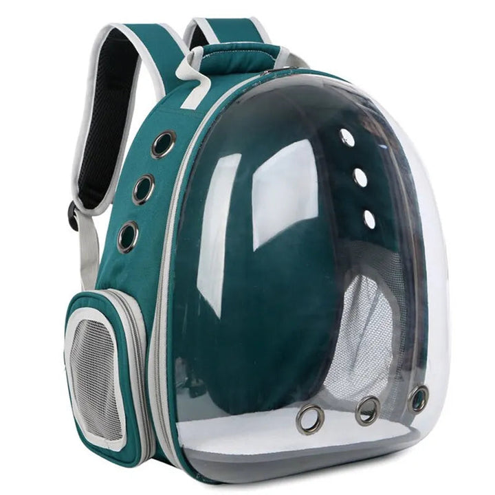 Stylish transparent cat carrier backpack with ventilation, perfect for travel & sightseeing.