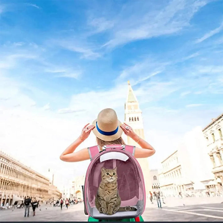 Small dog travel carrier backpack, clear bubble window design. Secure & comfortable for walks.
