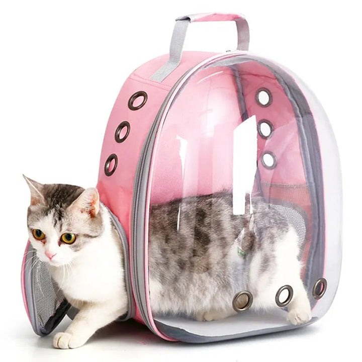 Comfortable pet travel backpack for small dogs & cats. Transparent view, breathable design.