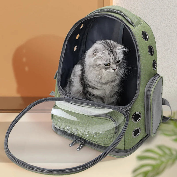 Breathable pet bubble backpack carrier for adventurous cats and small dogs, close-up of ventilation holes.