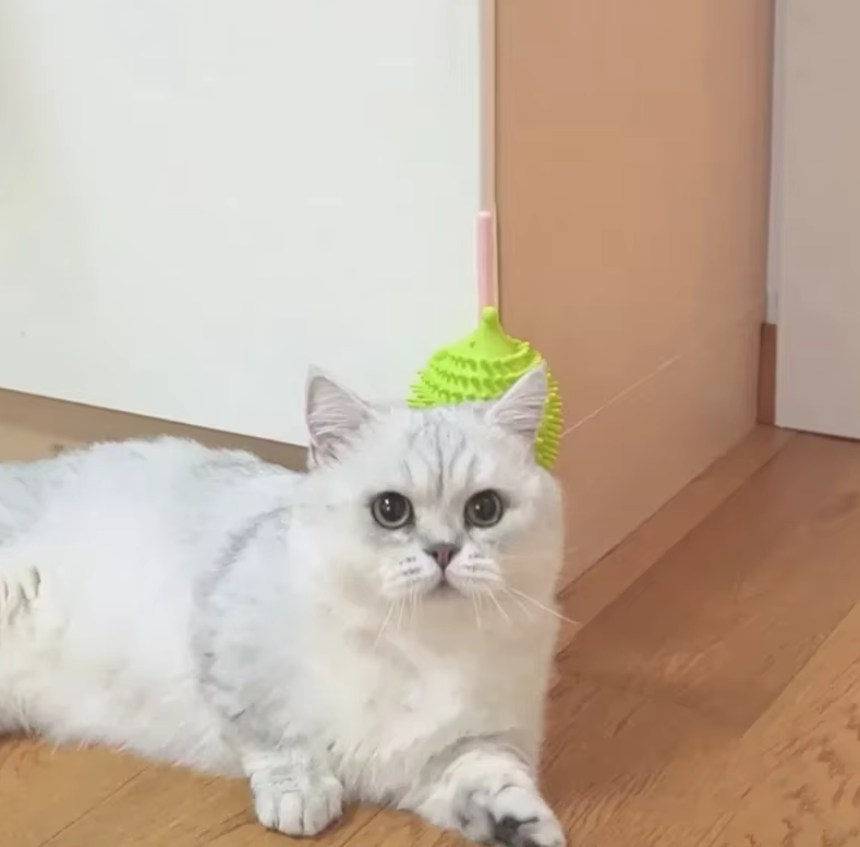 UFO silicone catnip plush toy, interactive pet supplies for engaging playtime with cats and kittens.