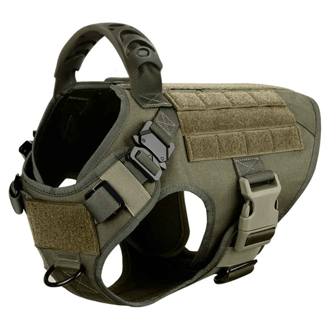 Active dog running freely in a comfortable, anti-pull K9 harness, showcasing its freedom of movement.