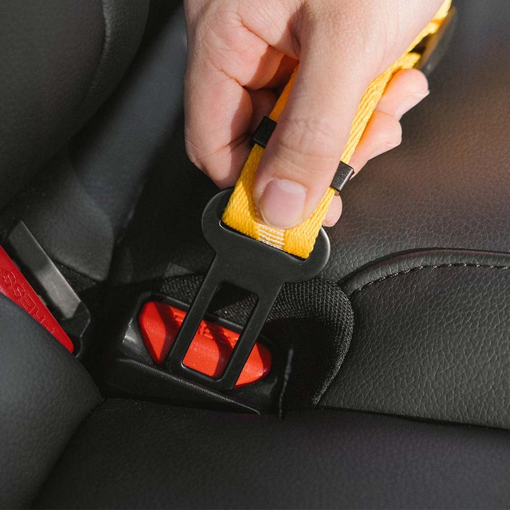 New pet safety car seat belt in use, keeping dog secure and comfortable on journeys