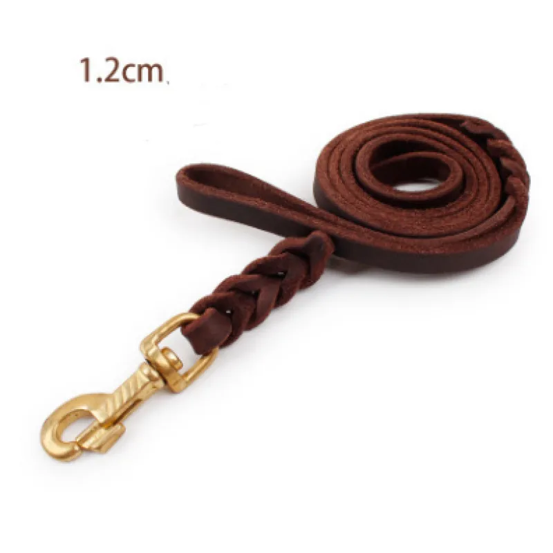 Sophisticated brown leather dog leash with golden carabiner, a must-have pet accessory for dog owners.