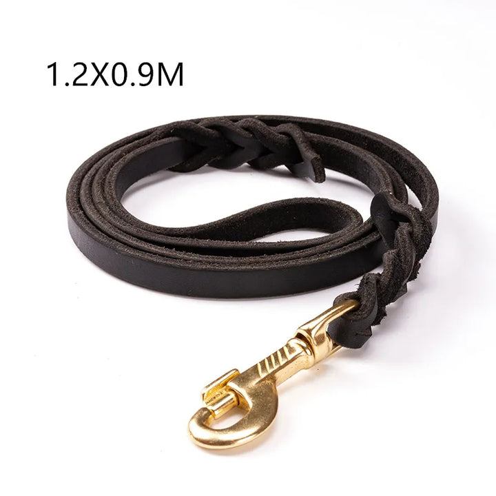 Black leather dog leash, premium quality, with a sturdy golden carabiner for secure pet control.