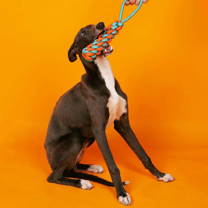 Colorful braided rope dog tug toy, stick shape for aggressive chewers, promotes dental hygiene.