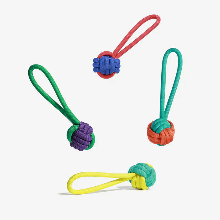 Pet supplies: Color Clash interactive dog chew toy, durable for strong chewers