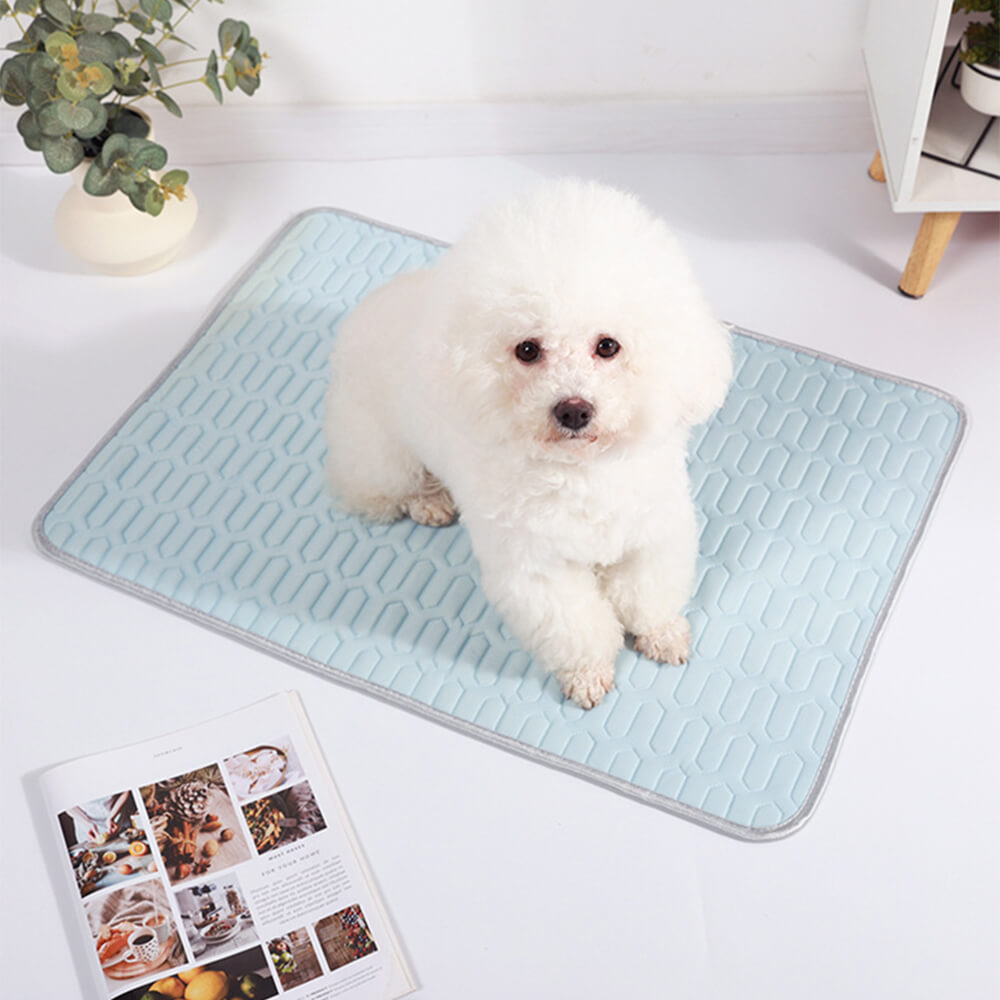 Foldable cooling pet mat with non-slip bottom, ideal for dogs and cats, easy to clean