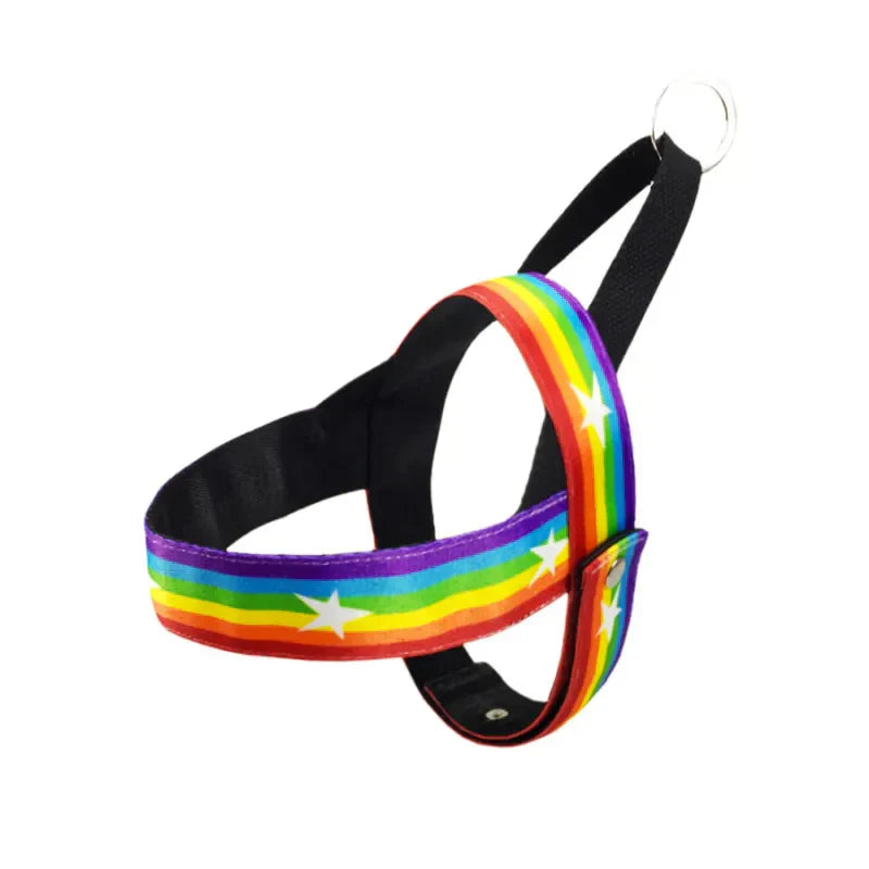 Unisex dog harness with playful rainbow star print, ensuring safe and stylish pet walking