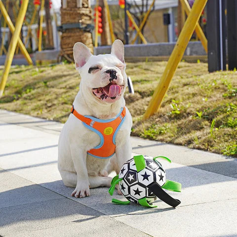 Heavy-duty dog soccer ball with grab tabs, designed for interactive, durable pet training and play