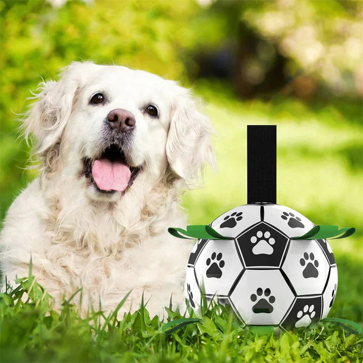 Pet supplies: Floating soccer ball dog toy with straps for enhanced interactive fetch and outdoor fun