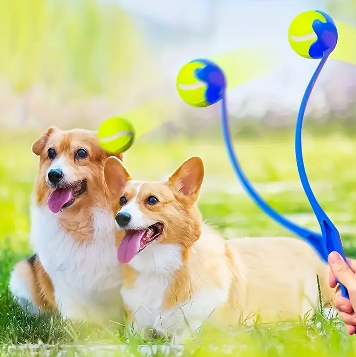 Canine training aid: unisex long-distance dog ball thrower, durable for endless fetch sessions.