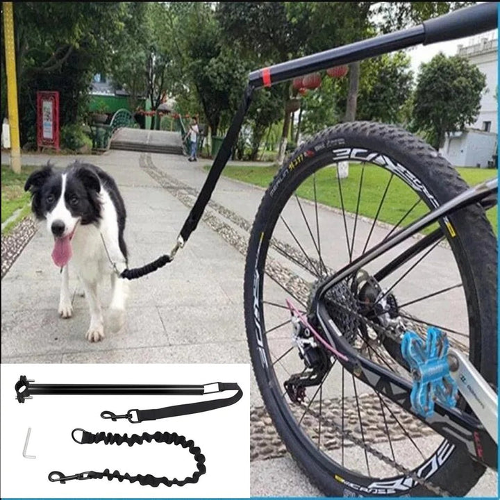 Close-up of durable, shock-absorbing pet leash attachment for hands-free biking with dog