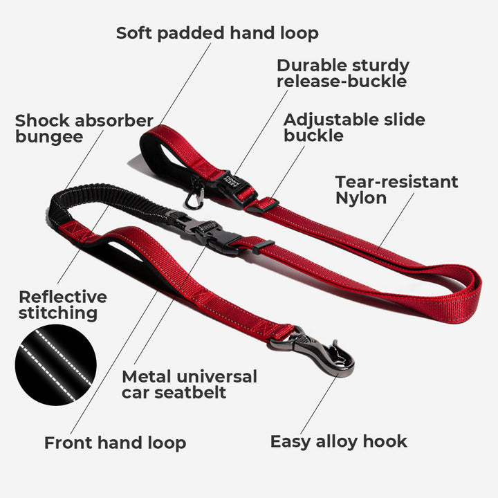 Black nylon hands-free dog leash, durable and reflective for night visibility, pet accessory.
