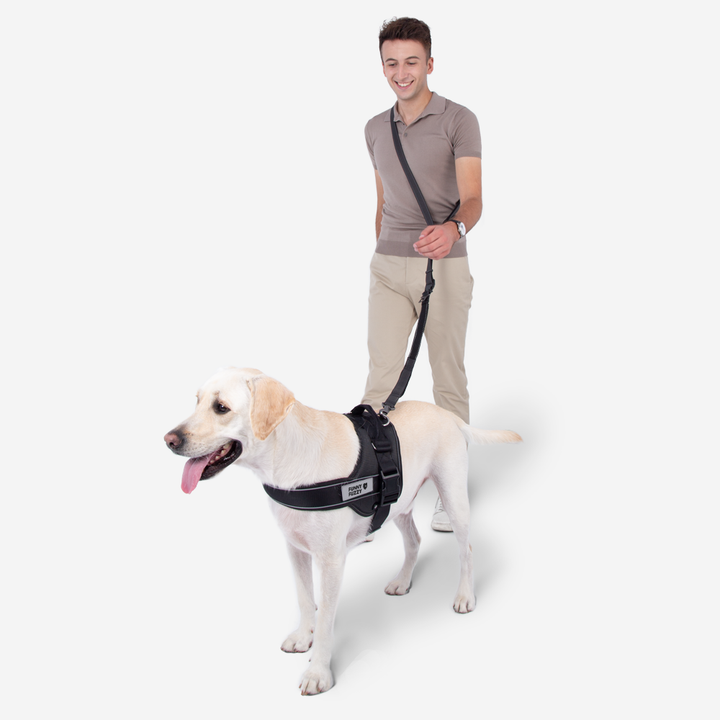 Versatile black dog leash featuring multiple D-rings for hands-free options and pet safety.