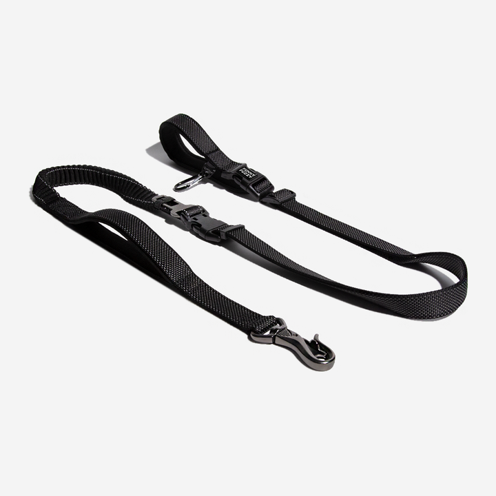 Unisex dog leash in a vibrant color, showcasing its hands-free and reflective features for walks.