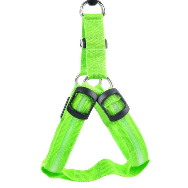 Rechargeable LED dog harness, designed for pet safety and night visibility, on a black background