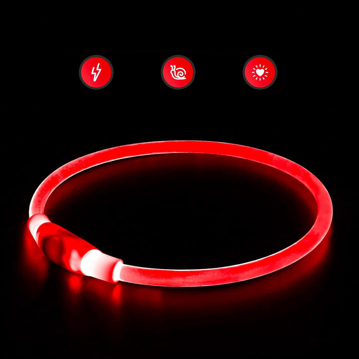Unisex LED pet accessory, USB rechargeable safety collar, making dogs visible at night