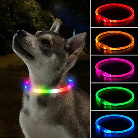 Bright blue LED dog collar, USB rechargeable, ensuring pet visibility at night