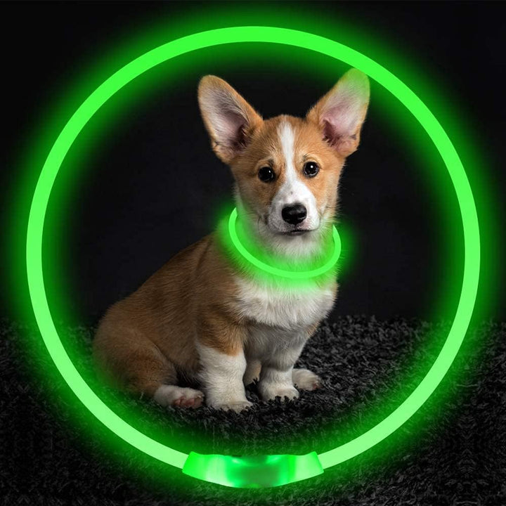 Yellow LED pet collar, glowing brightly, USB rechargeable for enhanced dog safety