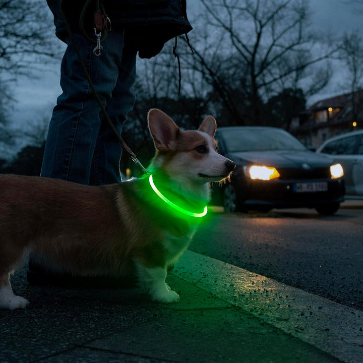 Unisex LED pet safety collar with red light, USB rechargeable for nighttime dog walking