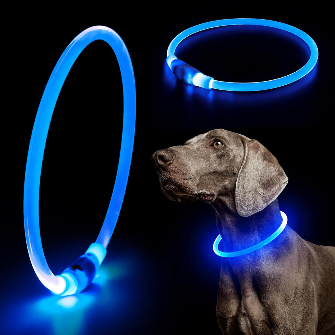 LED dog collar, USB rechargeable, emitting a white light, great for pet safety after dark