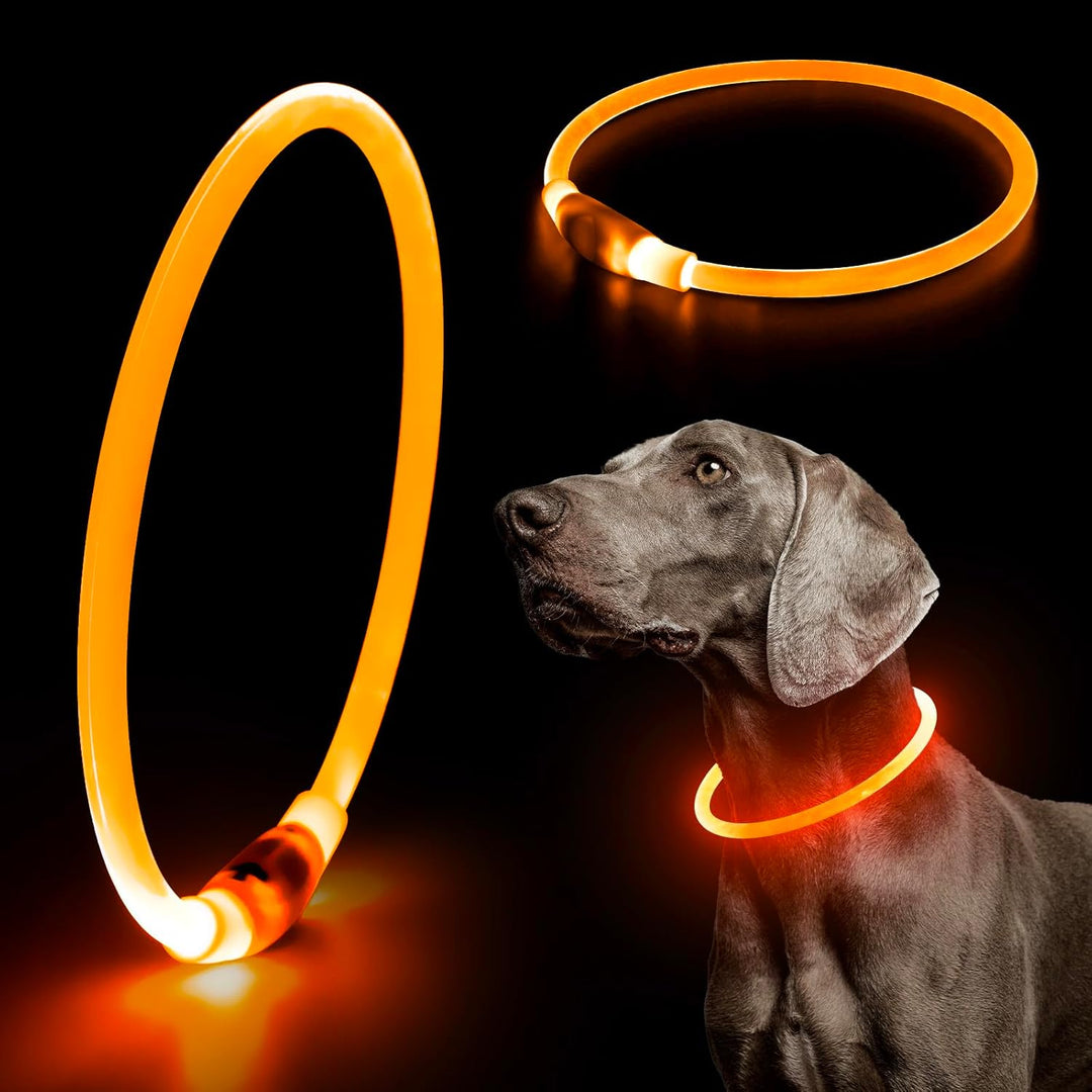 Reflective LED pet collar, USB rechargeable, providing ultimate safety for night walks