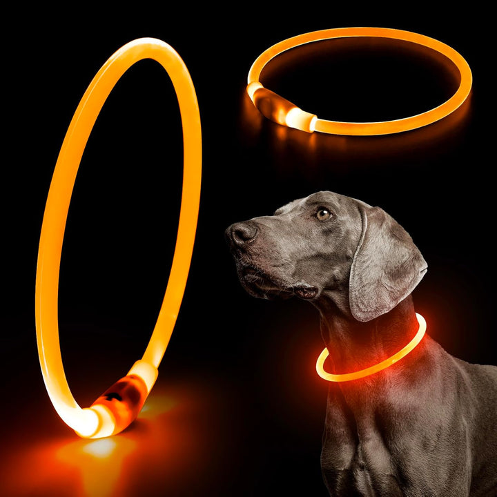 Reflective LED pet collar, USB rechargeable, providing ultimate safety for night walks