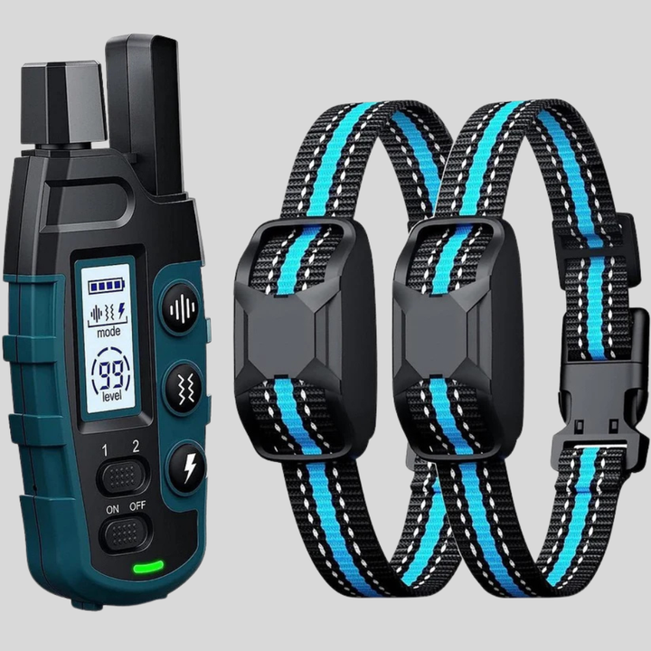 Remote pet training collar for dogs, black, showing receiver and remote, pet accessory for long-range use