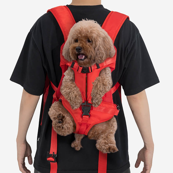 Small dog in a grey pet carrier backpack, ready for travel and outdoor adventures, comfortable pet transport