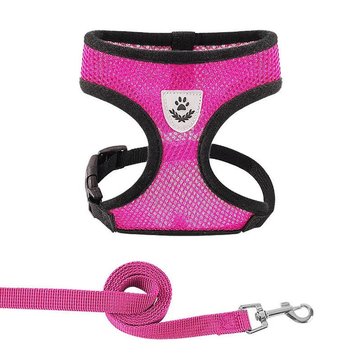 Set of pet accessories: a breathable mesh harness with reflective strips and a matching leash