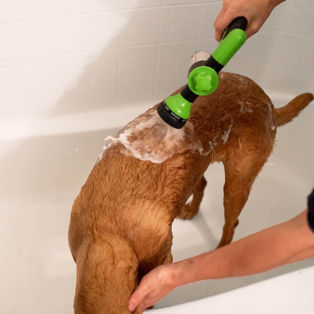 Innovative pet showerhead with shampoo reservoir, designed for hassle-free pet bathing
