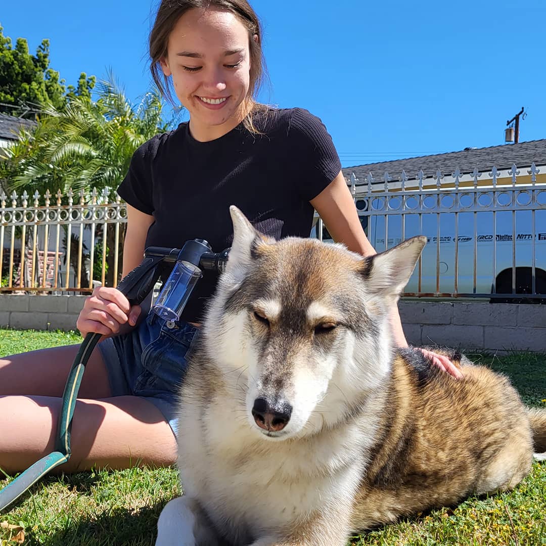 Dog bath accessory: shower with shampoo dispenser, making pet grooming quick and easy