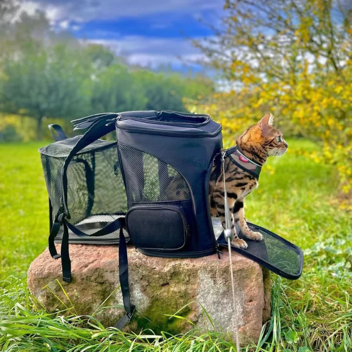 New4 blue pet backpack carrier, travel accessory for small dogs and cats, with breathable mesh
