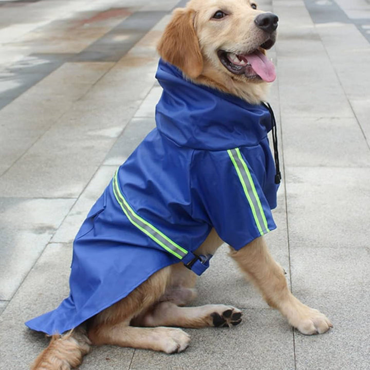 Happy dog playing outdoors in a waterproof, adjustable pet raincoat, all-weather dog apparel