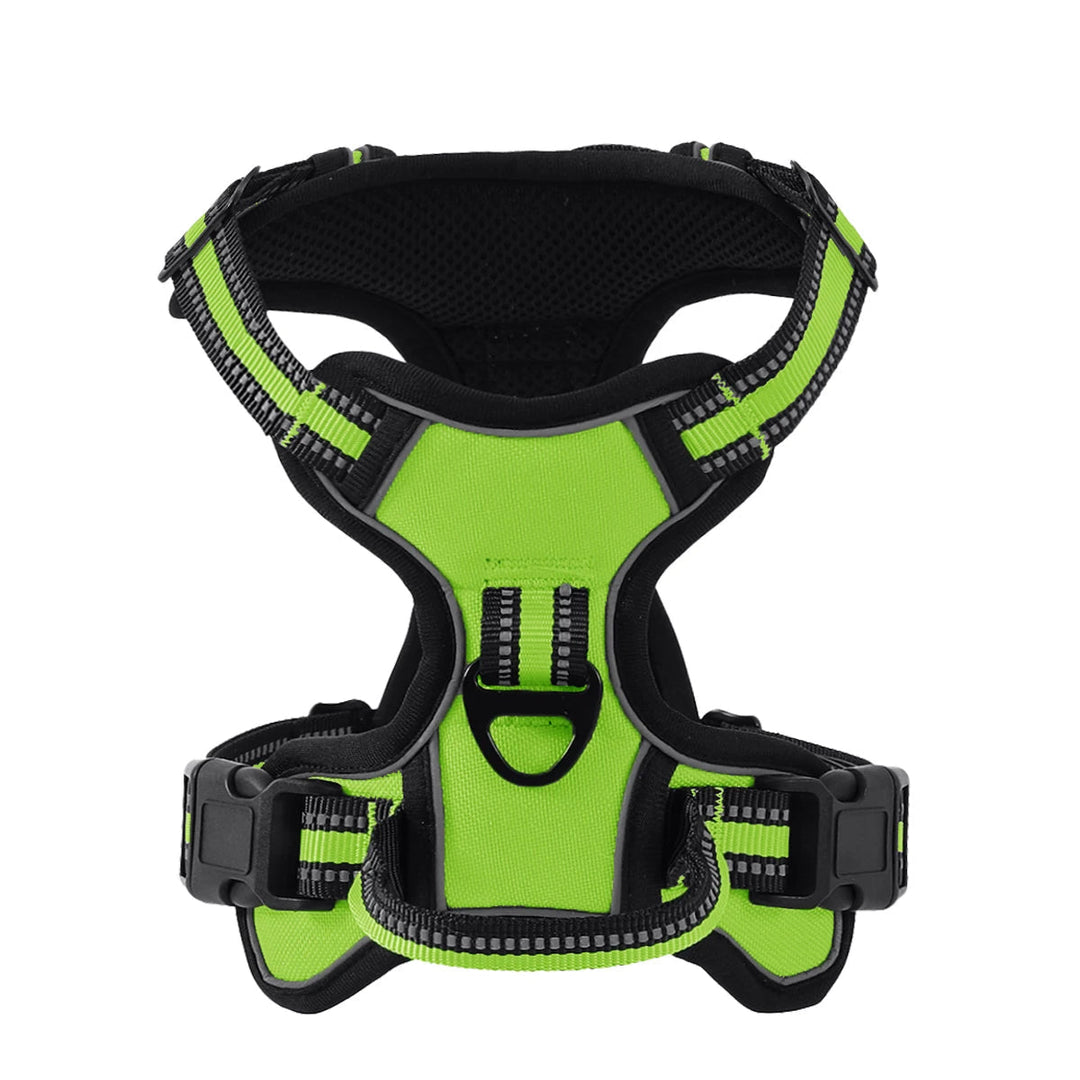Dog wearing reflective nylon harness, an essential for safe outdoor adventures