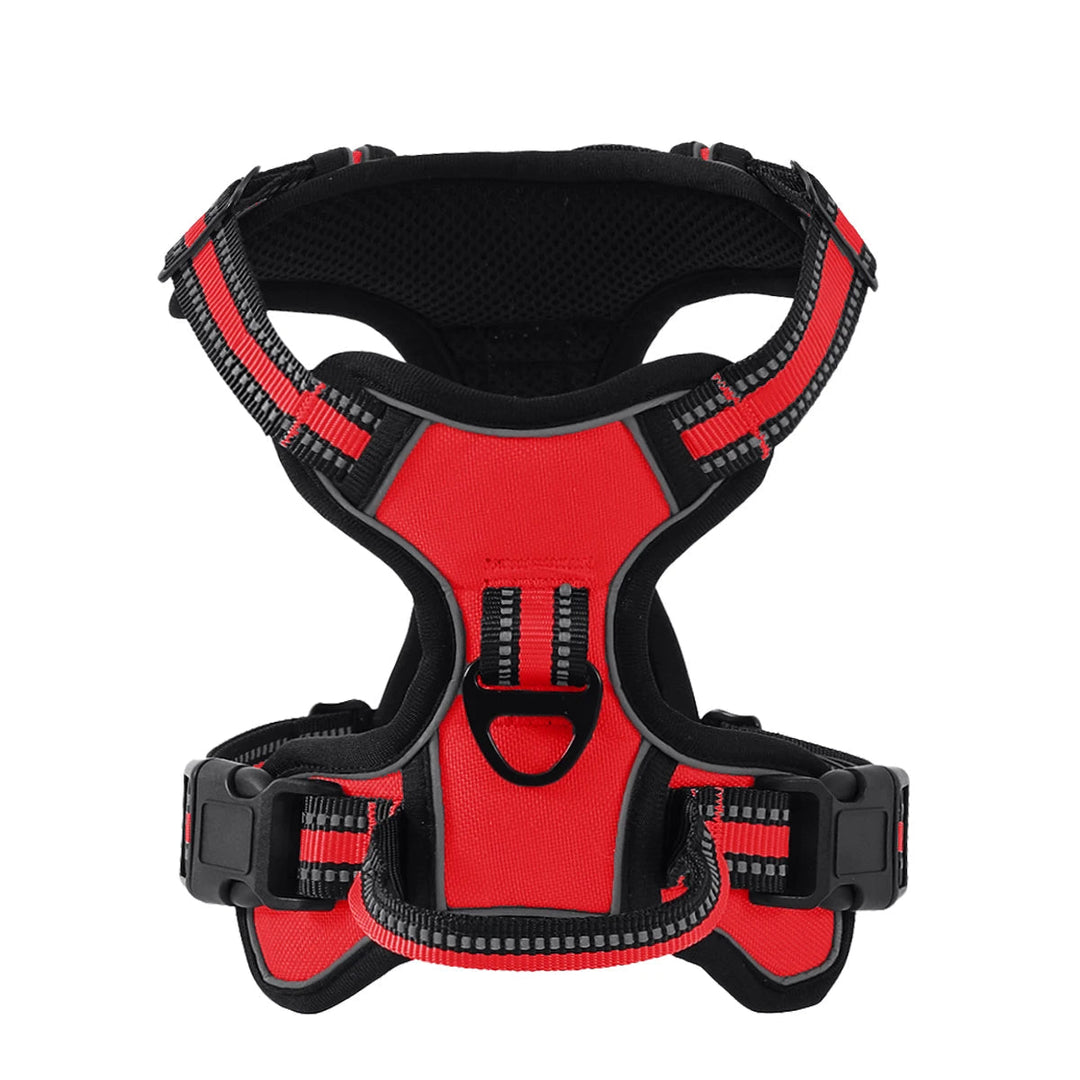 Detail of a strong D-ring on reflective dog harness for leash attachment
