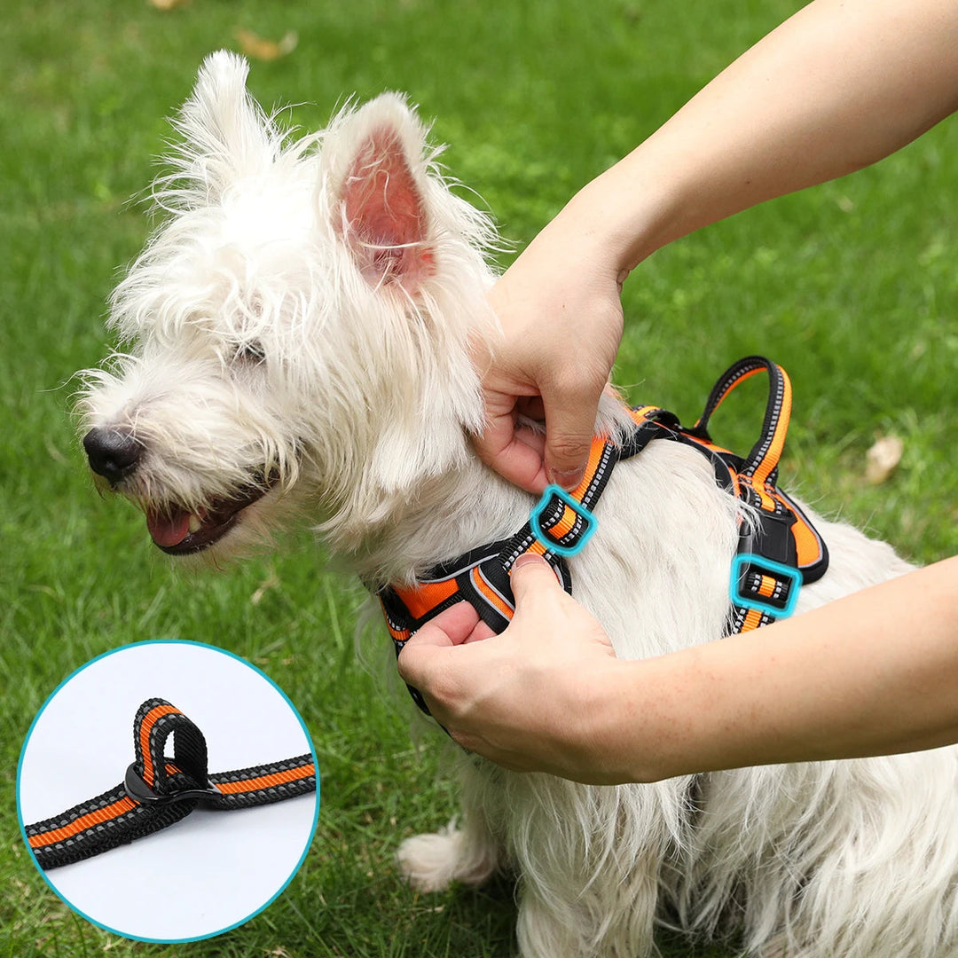 Front view of black reflective dog harness, breathable nylon for walking & outdoor gear