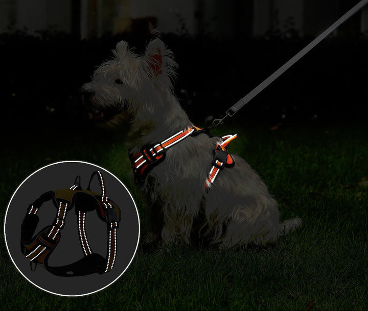 Adjustable straps of reflective dog vest, providing a secure & custom fit