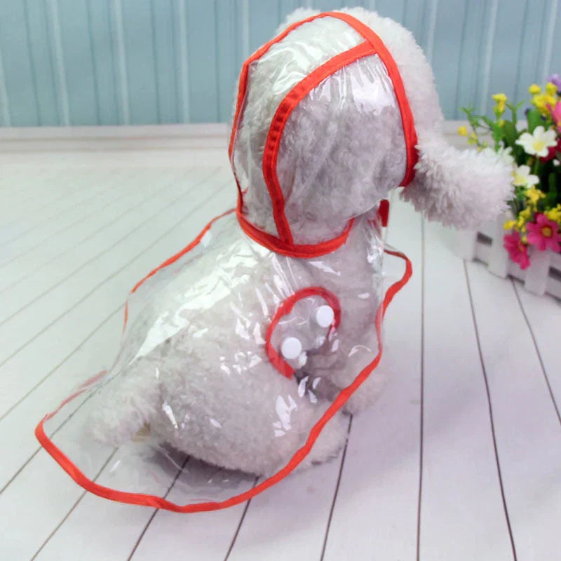 Dog looking happy in a transparent waterproof raincoat. Enjoy walks whatever the weather.