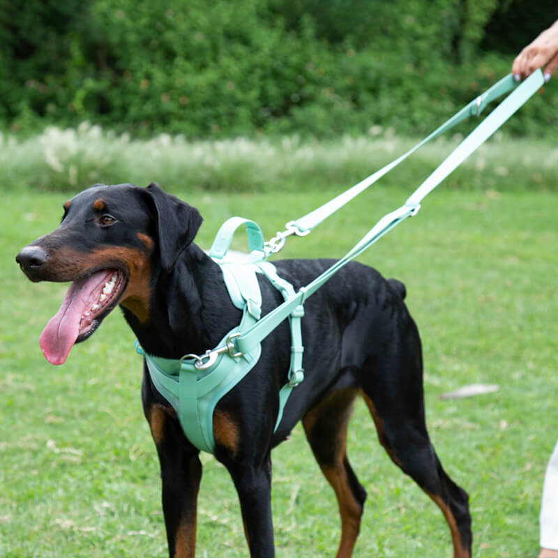 Unisex waterproof antibacterial gummy dog leash, tear-proof & odor-resistant for outdoor adventures