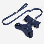 Berry Blue Walk Set