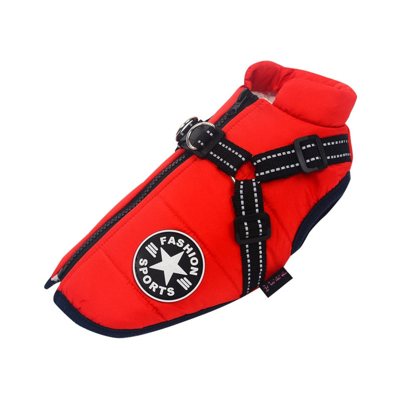 Side view of modern waterproof insulated dog coat, winter pet jacket, outdoor dog gear