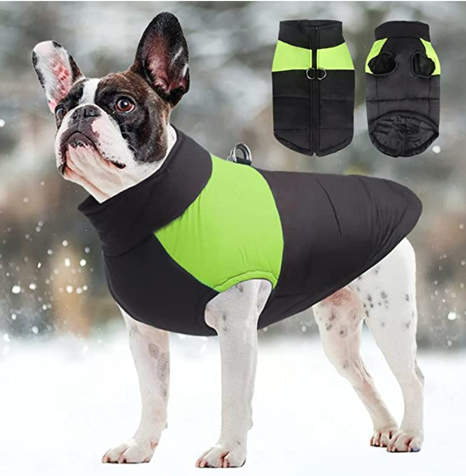 Red waterproof winter dog jacket with warm lining and reflective accents