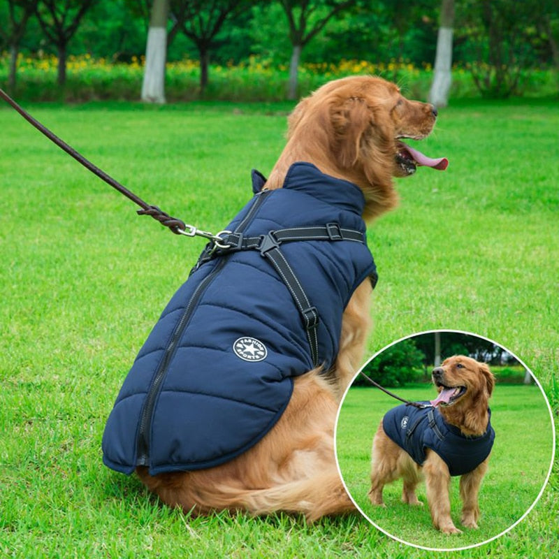 Unisex winter waterproof dog coat in black, showing full body coverage for warmth and protection from rain.