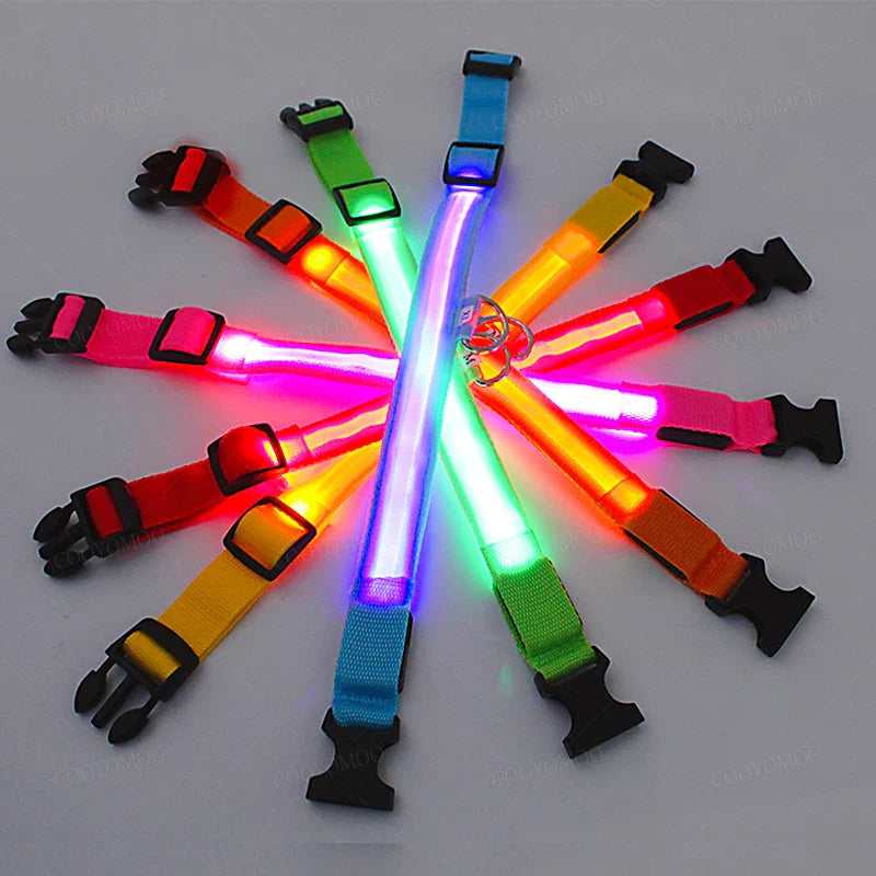 USB rechargeable LED dog collar, water-resistant for pet safety & night visibility during walks